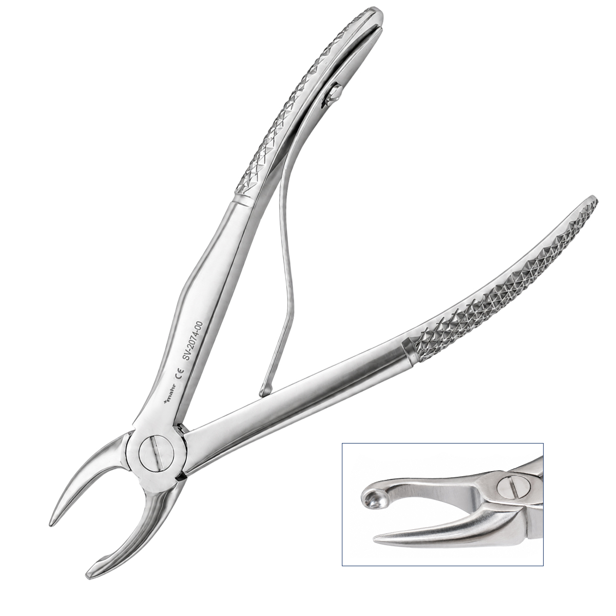 Tartar Forceps - Straight