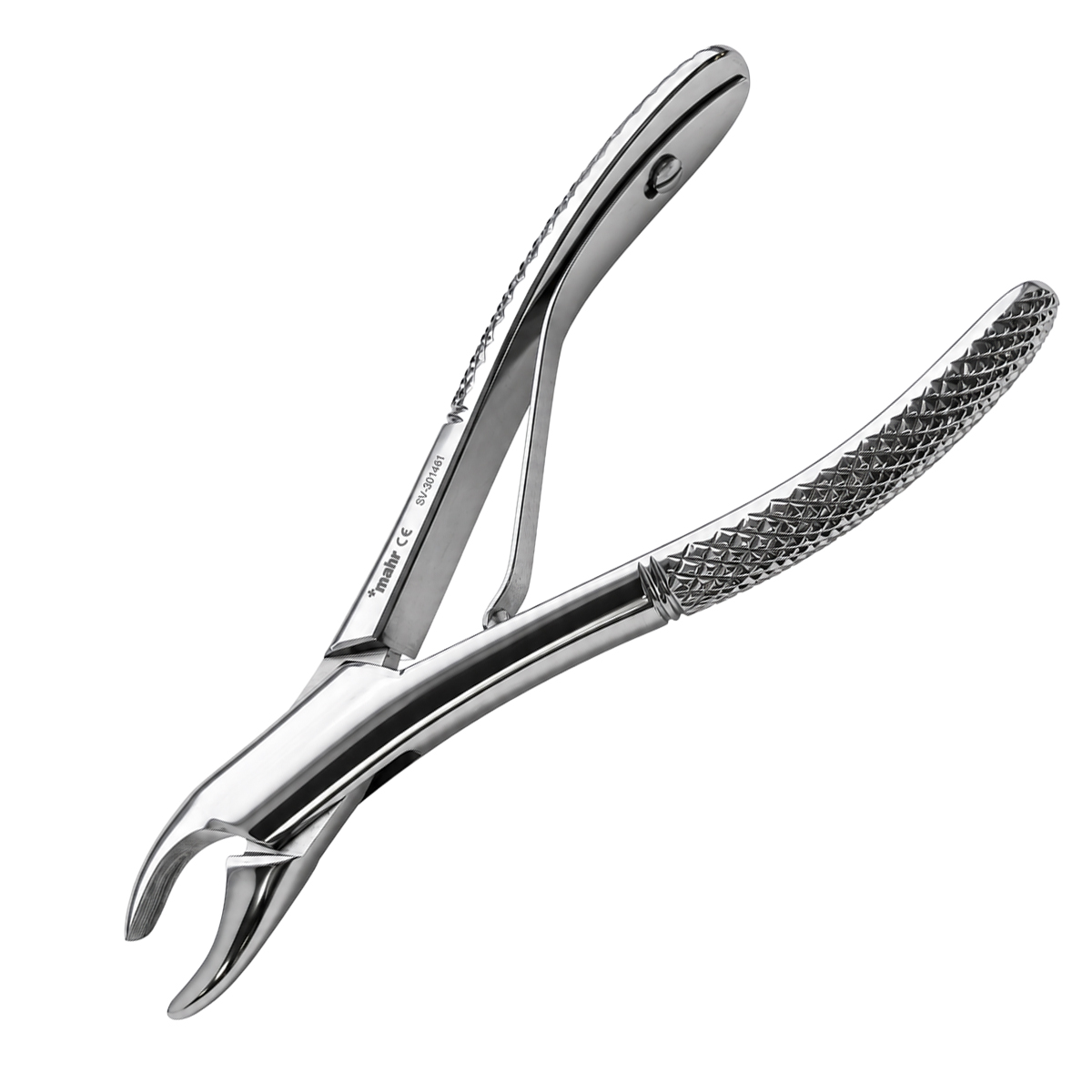 Tartar Forceps - Curved