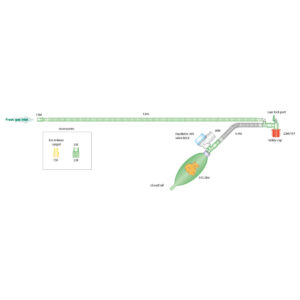 Ayres T-Piece Paediatric Circuit