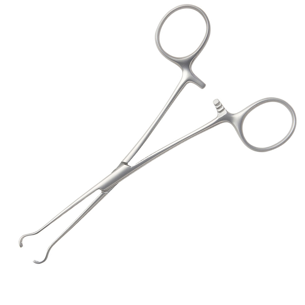 Babcock Tissue Forceps