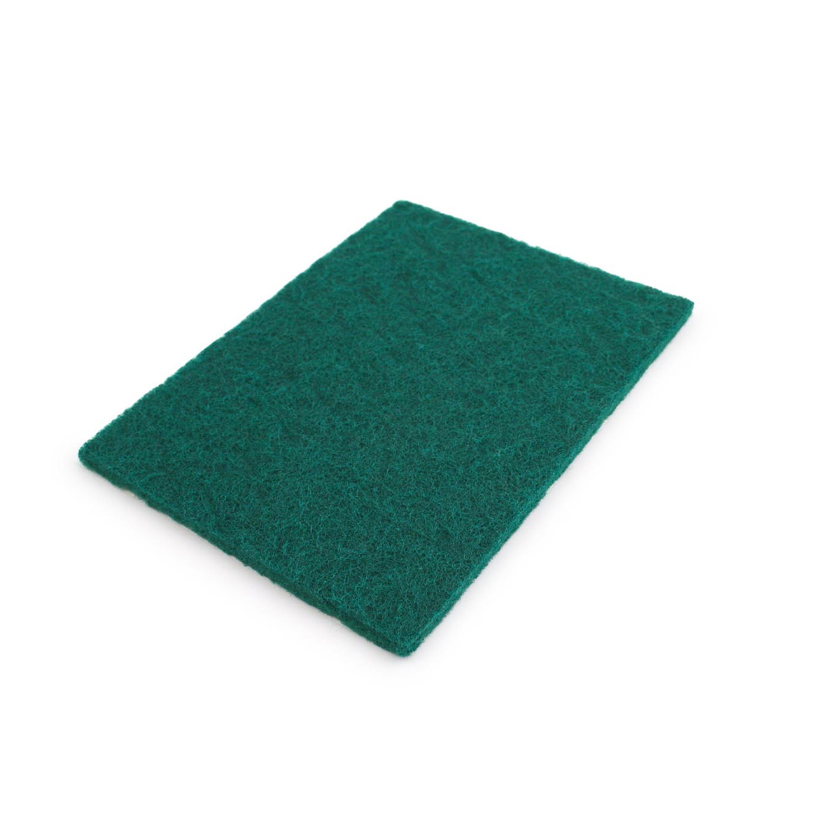 Commercial Scourer