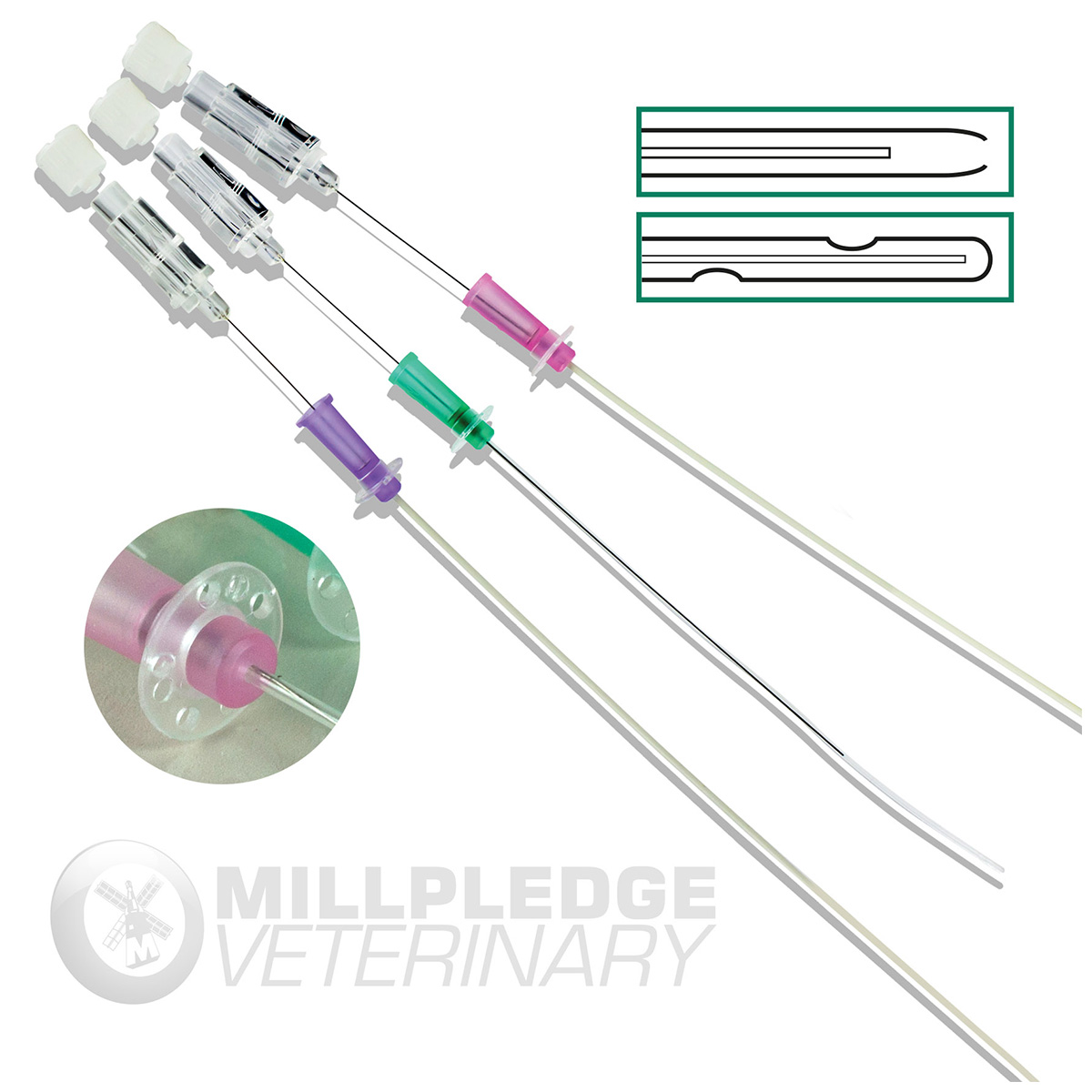 Tom Tiddle Cat Catheter