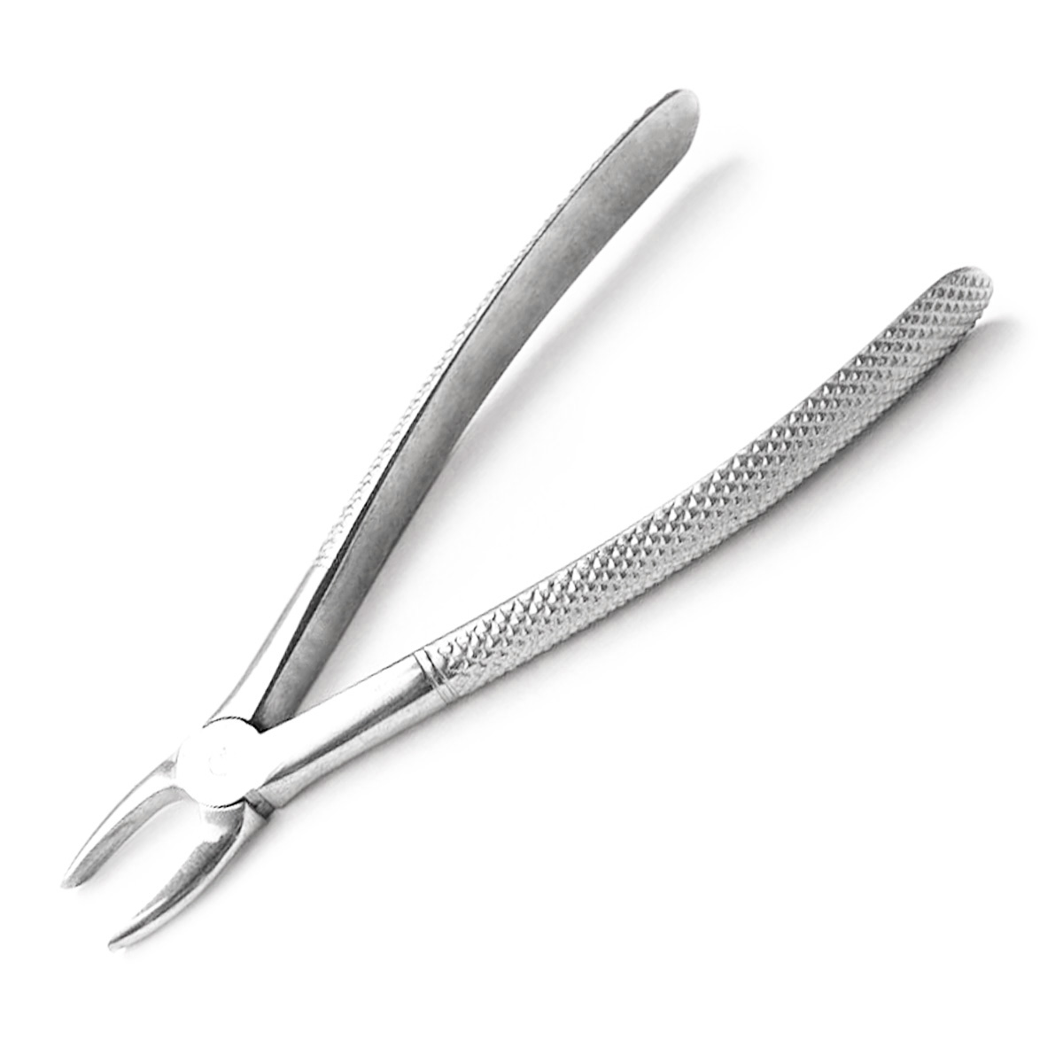 Standard Extraction Forceps