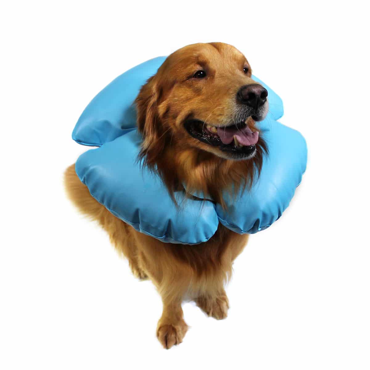 KVP Air-O Inflatable Collar
