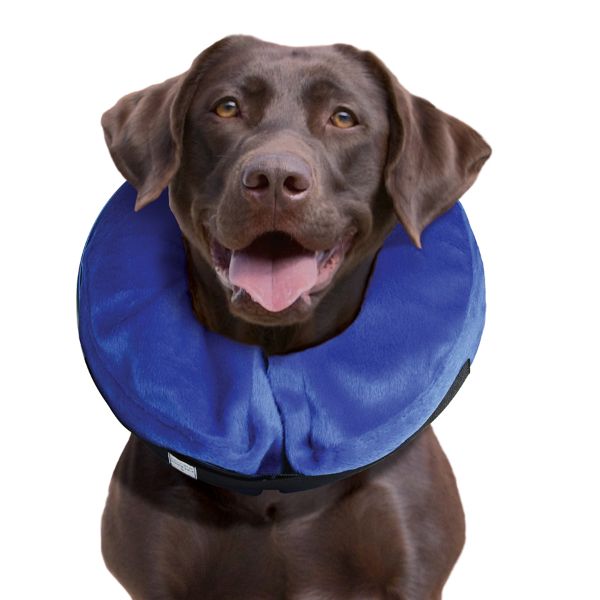 KVP Kong Cloud Inflatable Collar