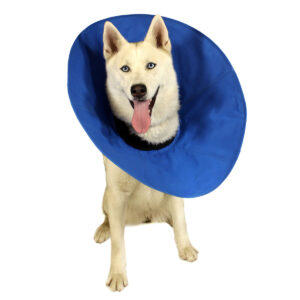 KVP EZ Recovery Collar - X-Small