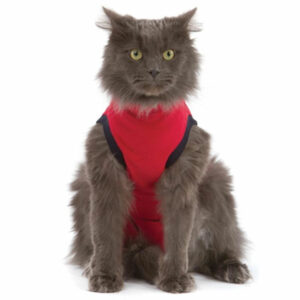 MPS Medical Pet Shirt: Cat - S
