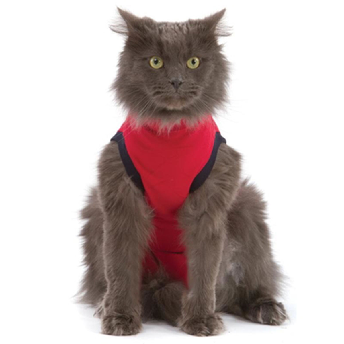 MPS Medical Pet Shirt: Cat
