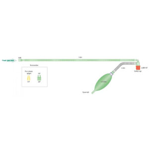 Ayres T-Piece Circuit