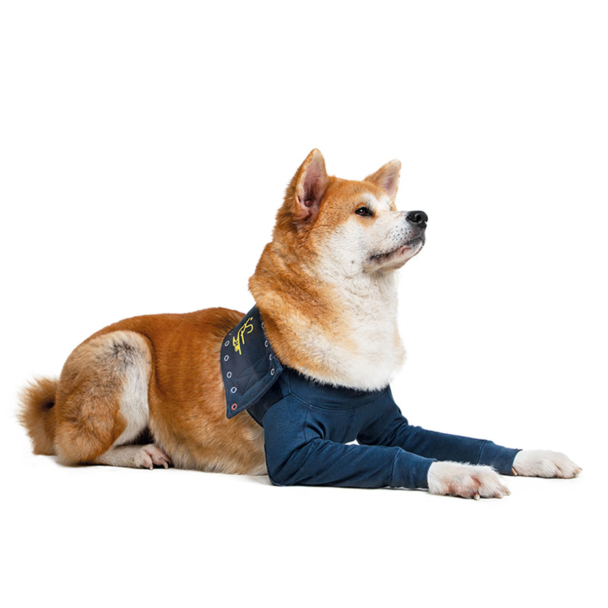MPS Medical Pet Shirts: Double Front Leg