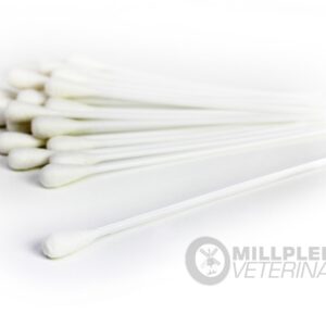 Large Cotton Buds