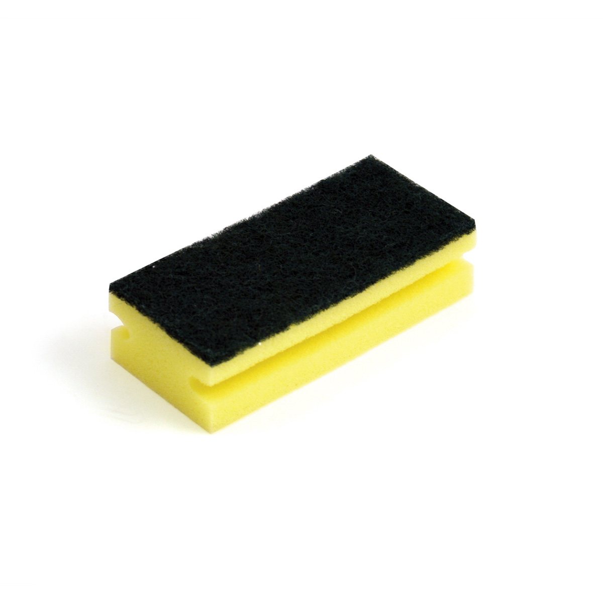 Large Sponge Scourers