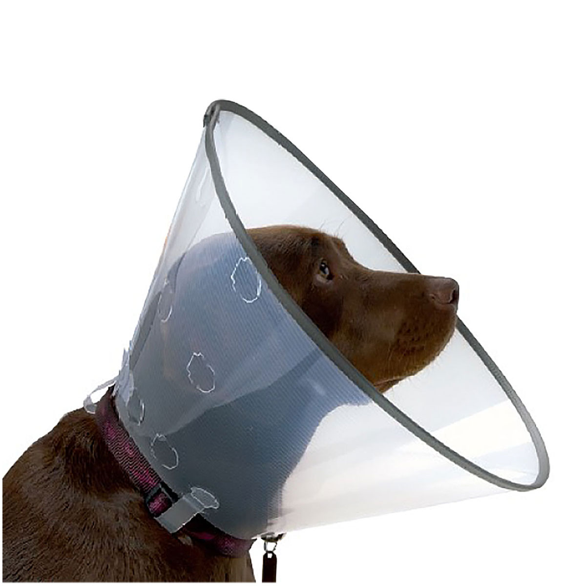 Vetsaver Smart Collars