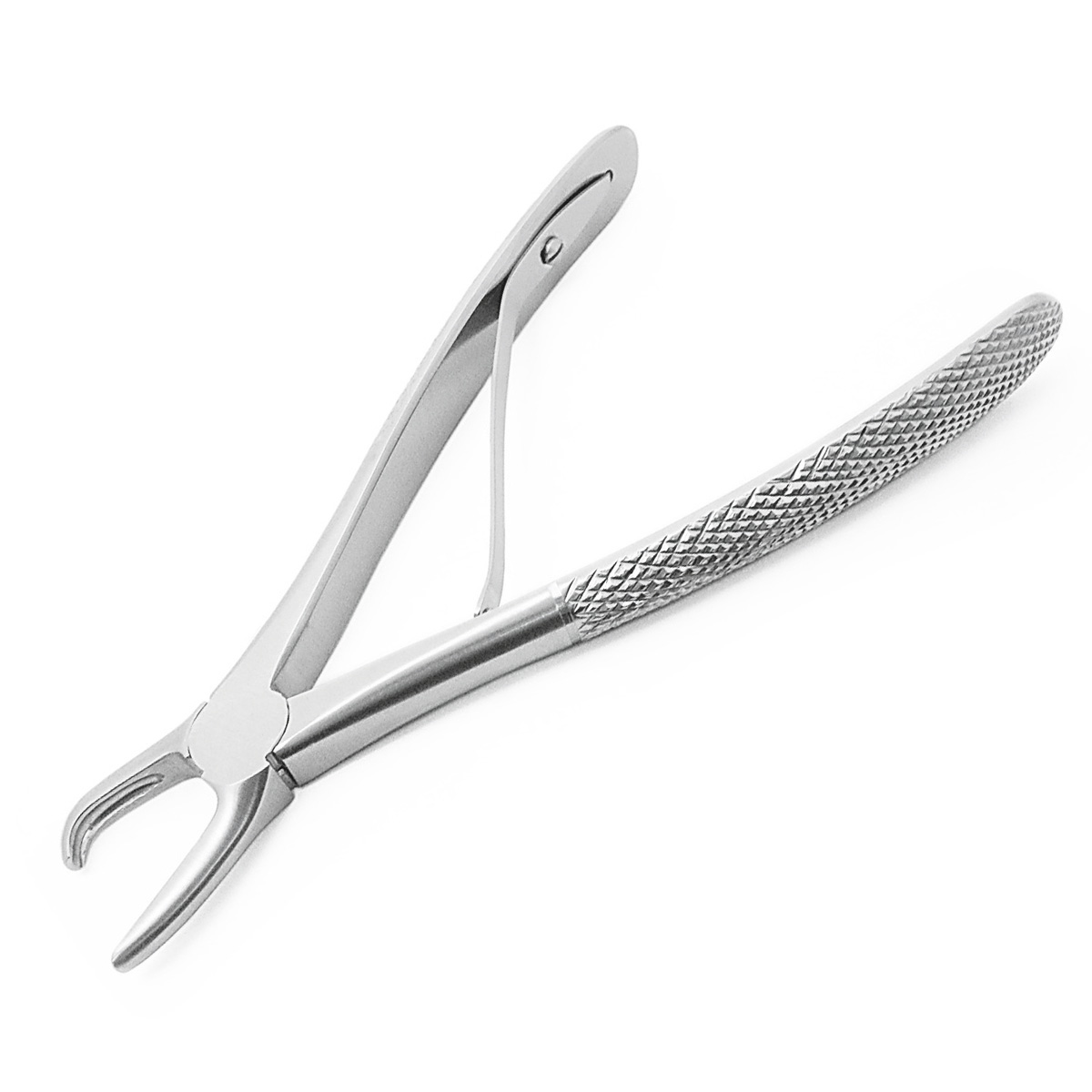 Tartar Forceps - Curved