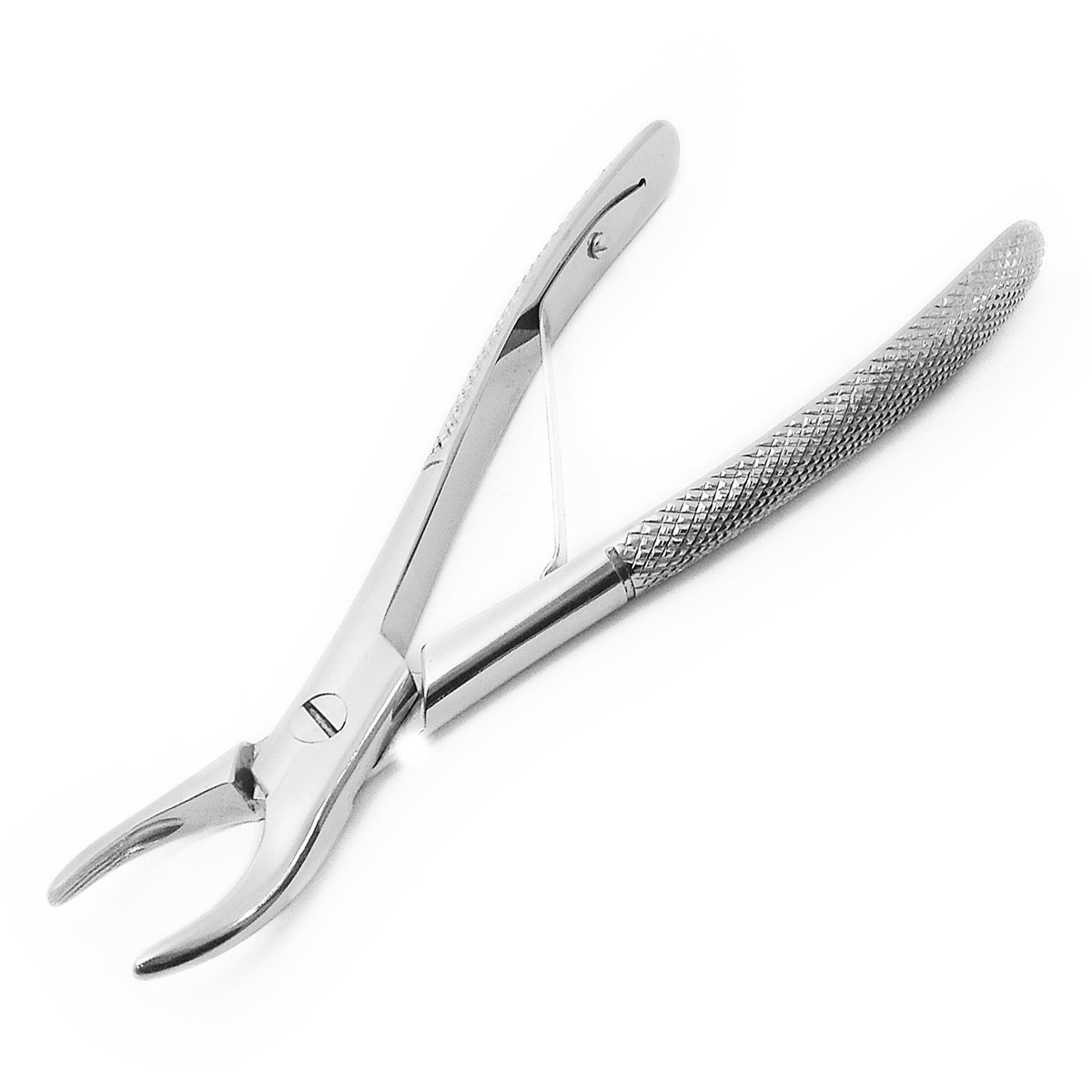 Tartar Forceps - Straight