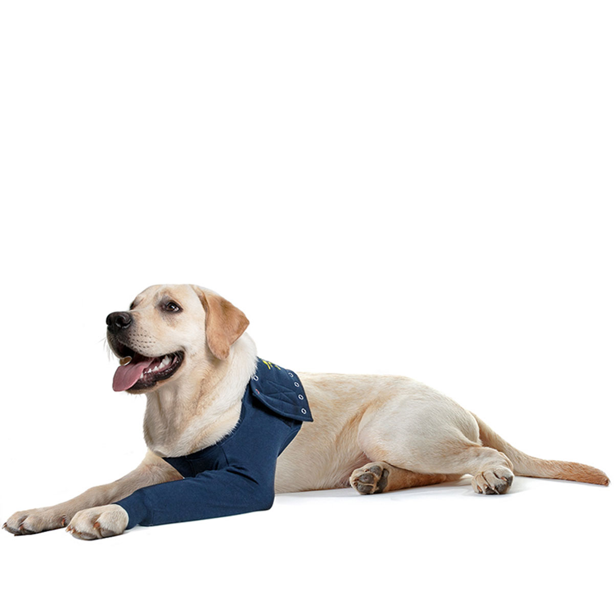 MPS Medical Pet Shirt: Front Leg Sleeve