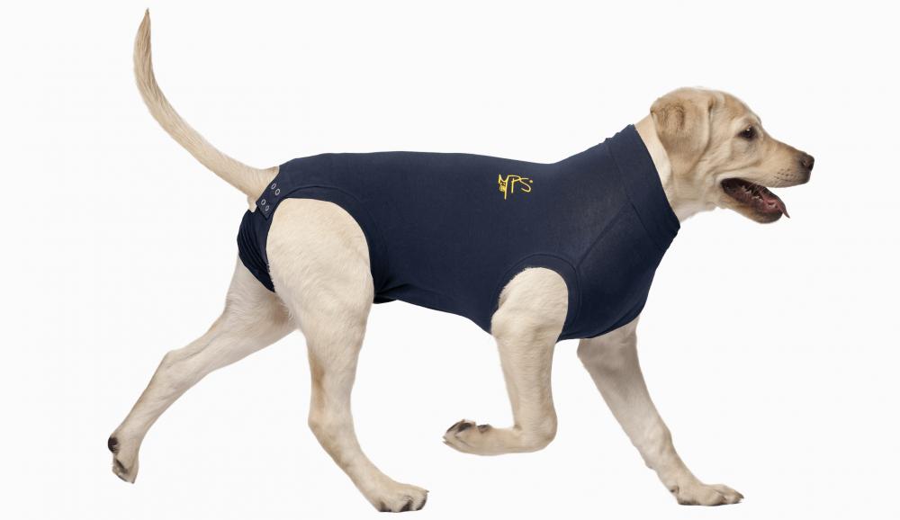 MPS Medical Pet Shirts: Dogs