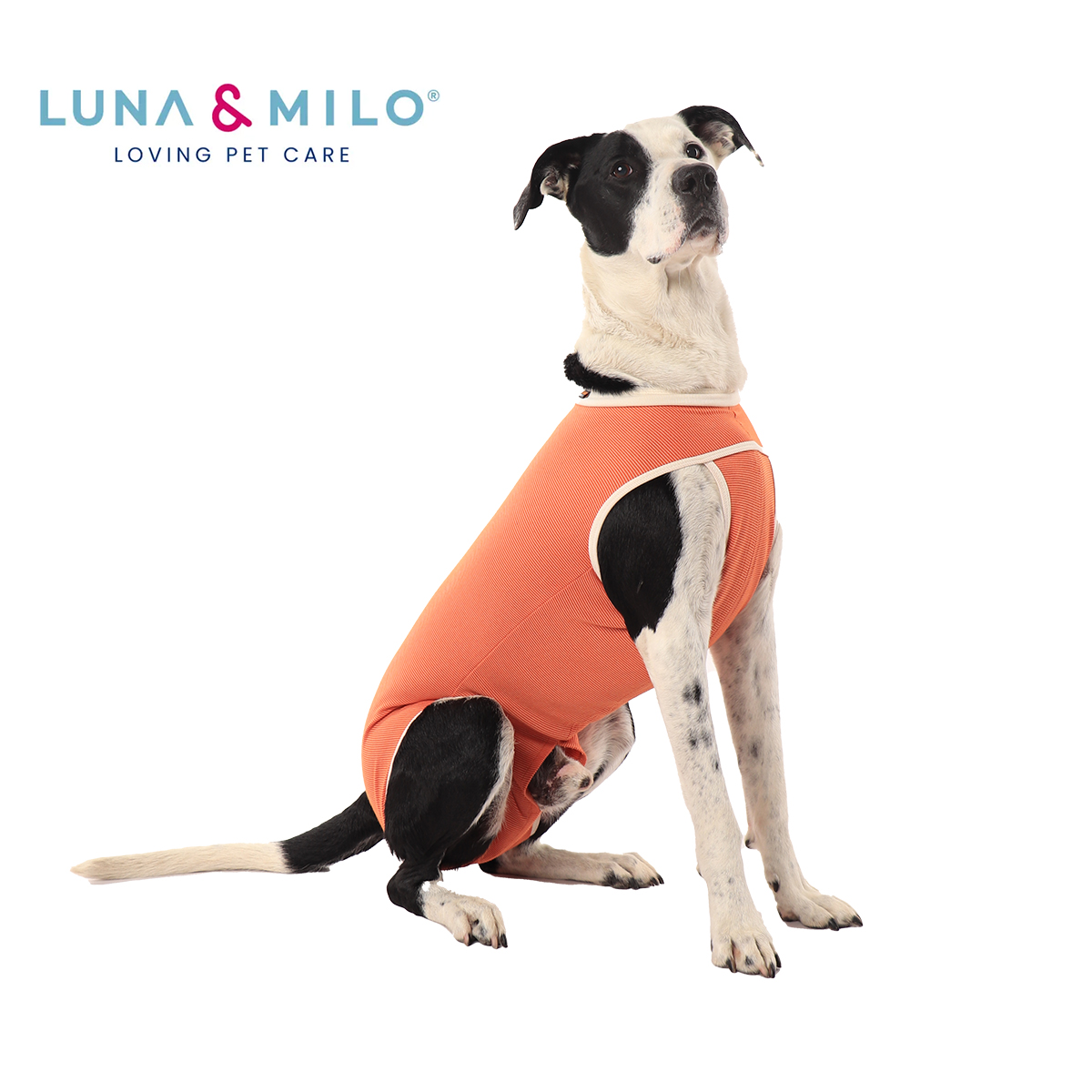Luna & Milo Dog Castration Copper Body Shirt