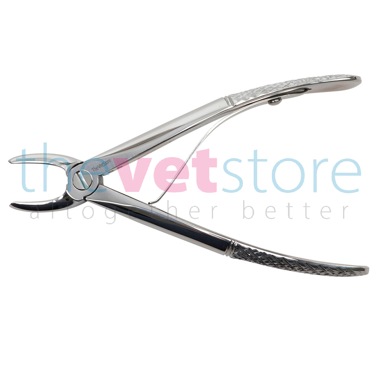 Small Incisors Forceps