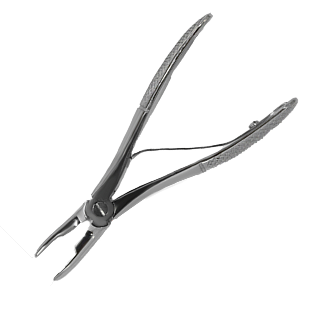Tartar Removal Forceps
