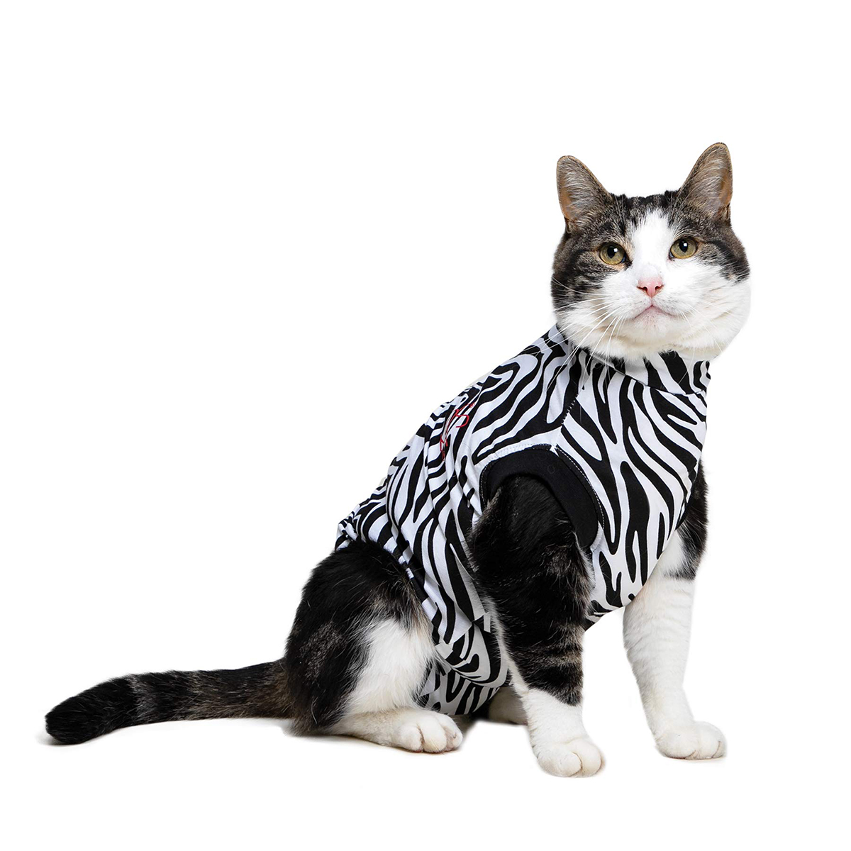 MPS Medical Pet Shirt Zebra Print: Cat