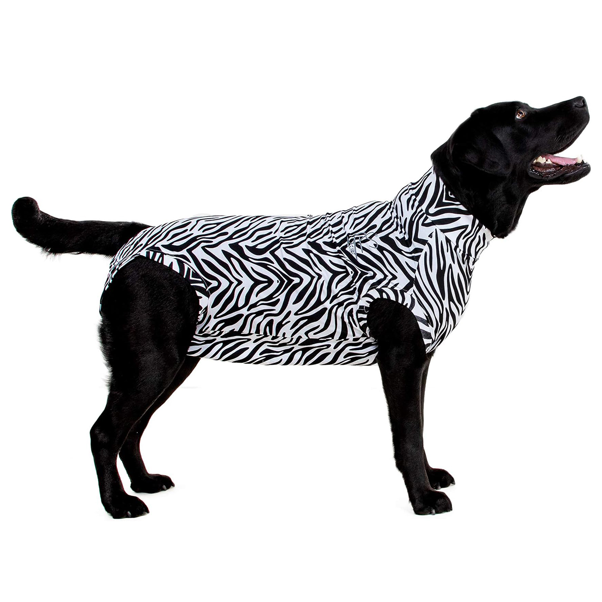 MPS Medical Pet Shirt Zebra Print: Dogs