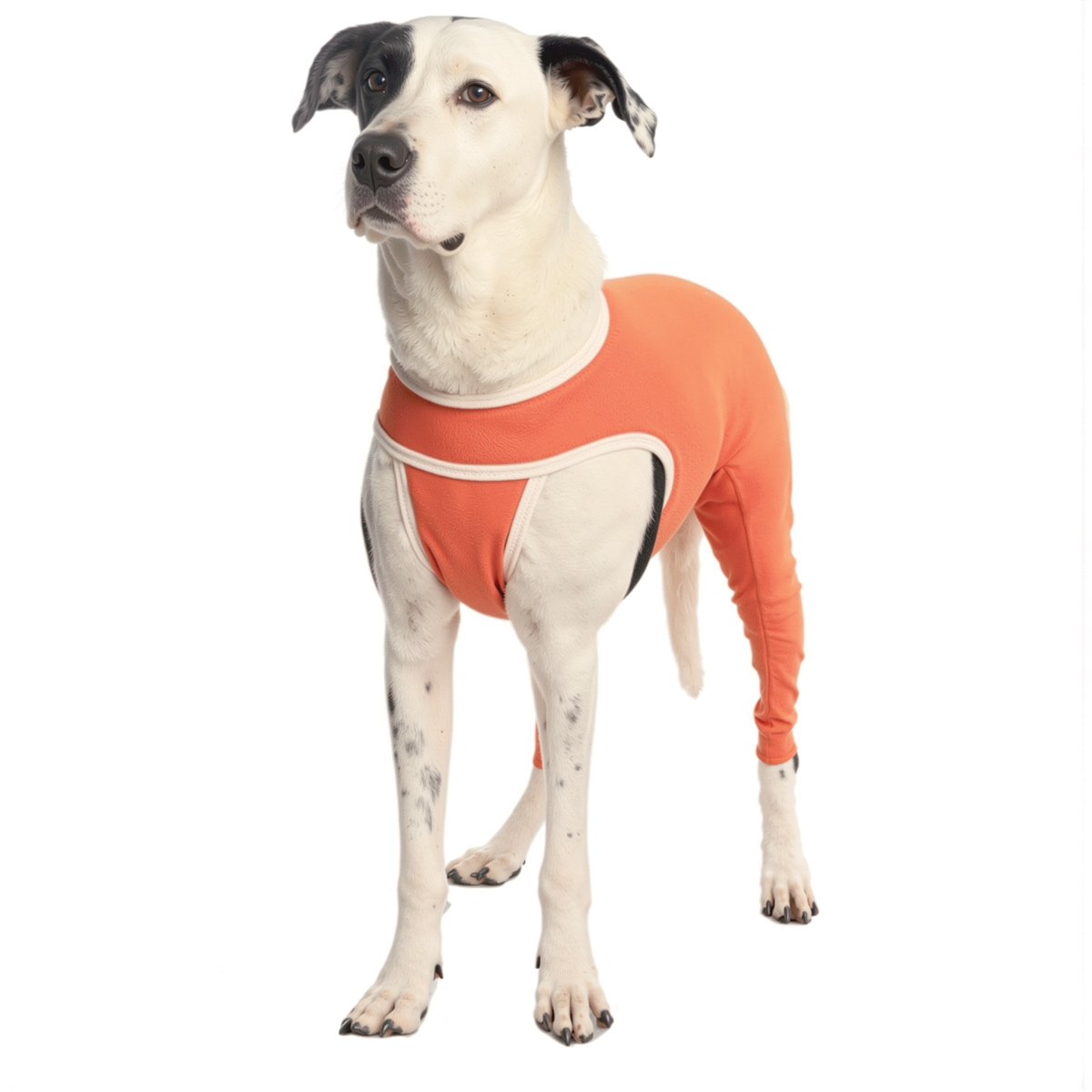 Luna & Milo Hind Legs Copper Body Shirt