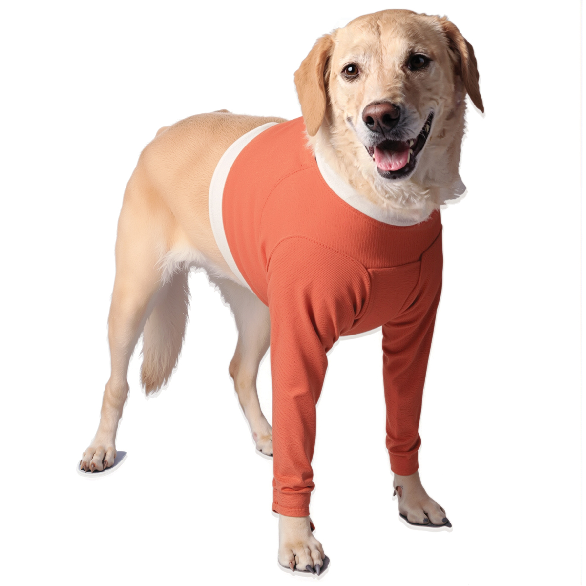 Luna & Milo Front Legs Copper Body Shirt