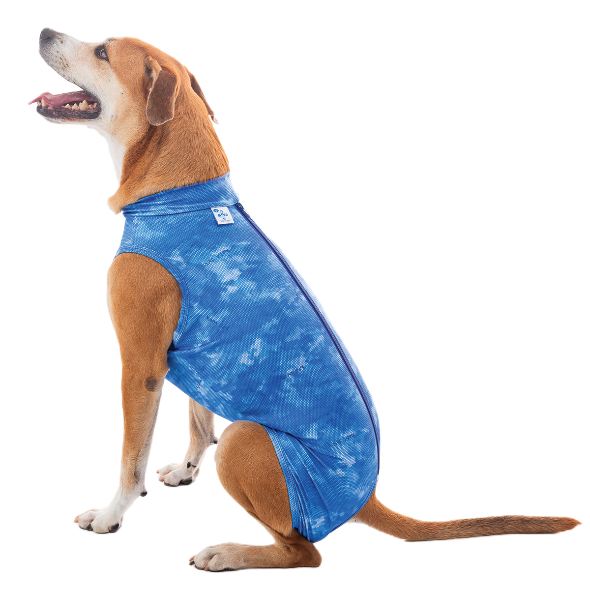 PetMed Post Surgical Castration Supreme Shirt