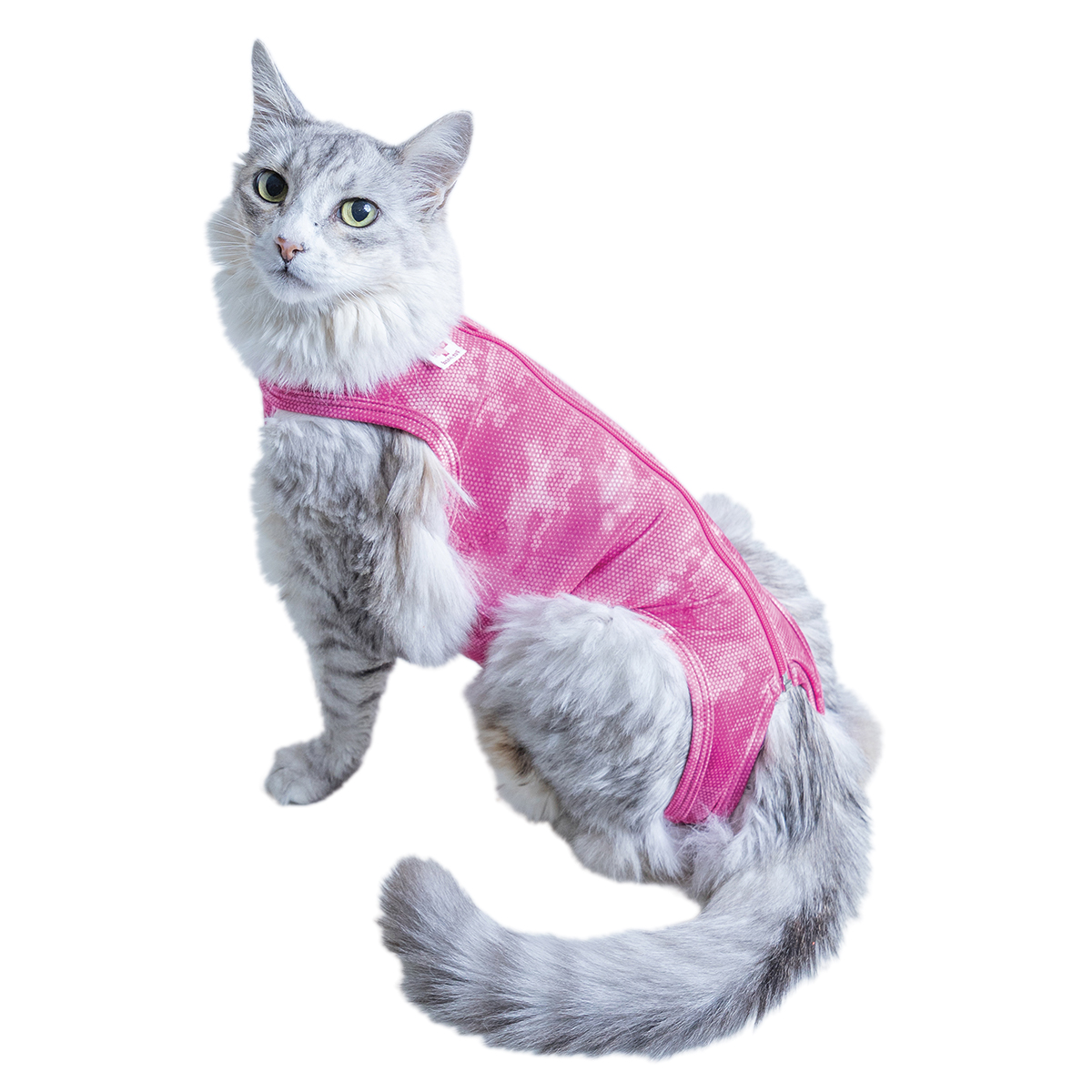 PetMed Post Surgical Supreme Cat Shirt