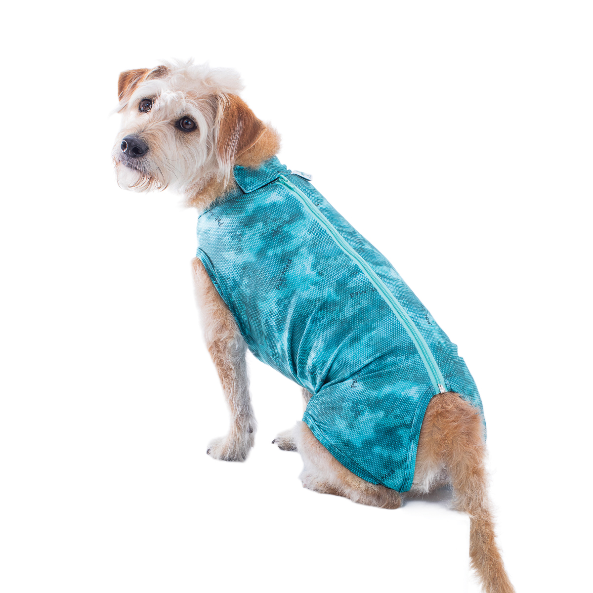 PetMed Post Surgical Supreme Dog Shirt 