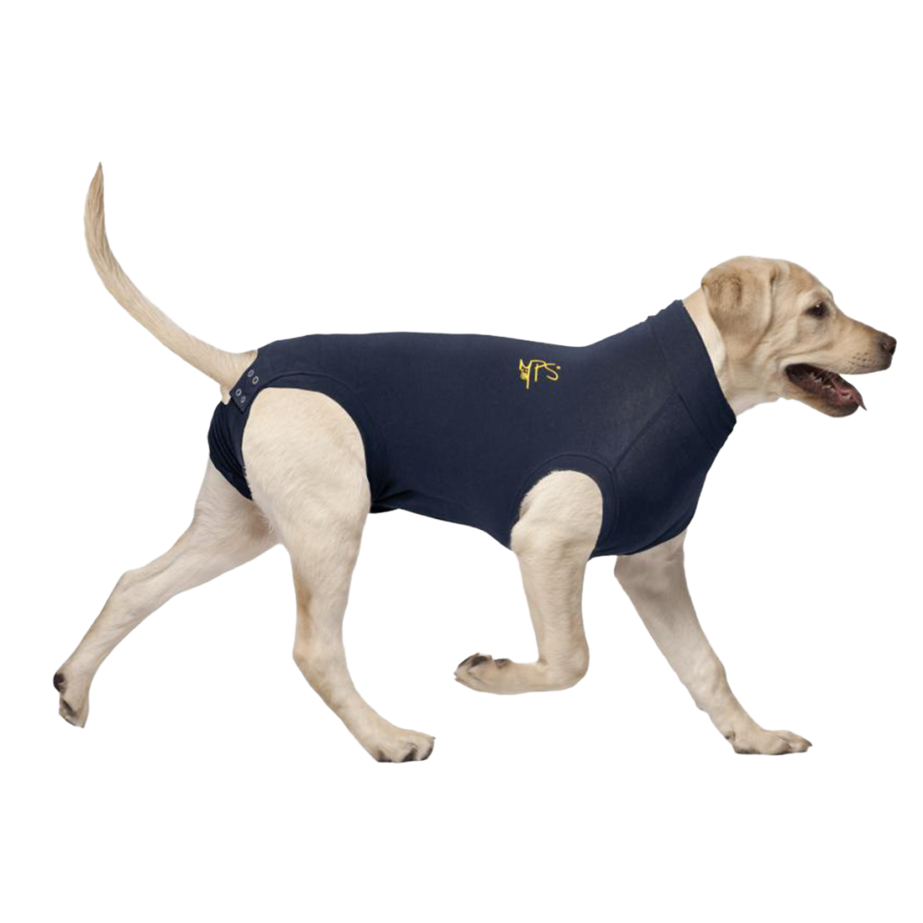 Recovery, Collars & ID Bands